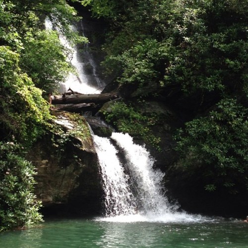 A serene waterfall cascading into a tranquil pool, surrounded by lush green foliage and rocky terrain.
