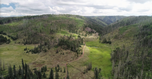 Aerial view of a lush green valley surrounded by mountains, with patches of trees and a dirt path winding through.