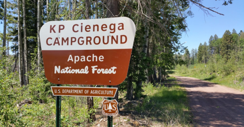Sign for KP Cienega Campground in Apache National Forest, surrounded by trees and a dirt road.