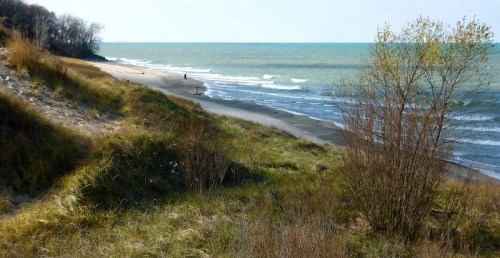 A serene beach scene with gentle waves, grassy dunes, and a lone figure walking along the shore under a clear sky.
