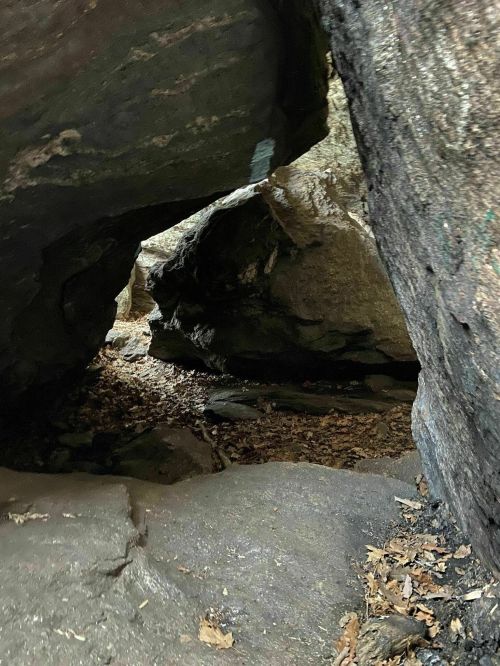 A narrow passage between large rocks, with scattered leaves on the ground and dim lighting.