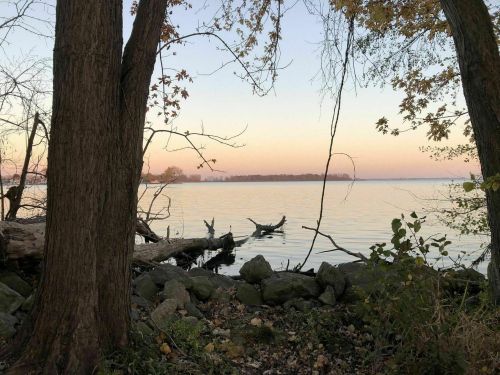 A serene lakeside view at sunset, framed by trees and rocks, with calm water reflecting soft pastel colors.