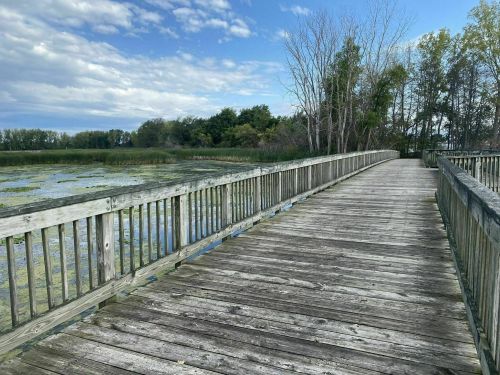 A wooden boardwalk stretches over a wetland, surrounded by trees and a cloudy sky.