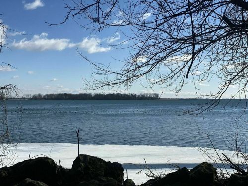 A serene lakeside view with bare branches, ice along the shore, and a distant island under a blue sky with clouds.
