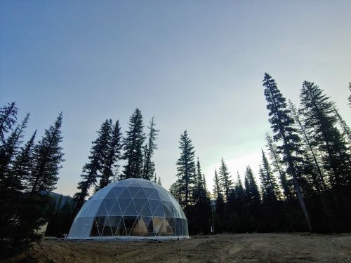 A geodesic dome structure surrounded by tall pine trees under a clear sky.