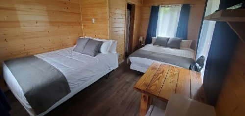 Cozy wooden cabin interior with two beds, a table, and large windows letting in natural light.