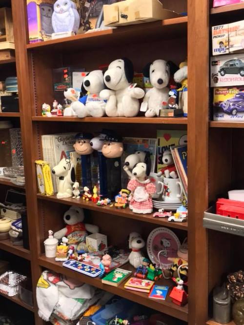 A wooden shelf filled with various toys, including Snoopy plushies, figurines, and colorful collectibles.