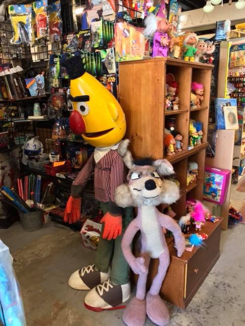 A large Bert puppet stands next to a purple wolf plush toy in a colorful vintage toy store filled with various items.