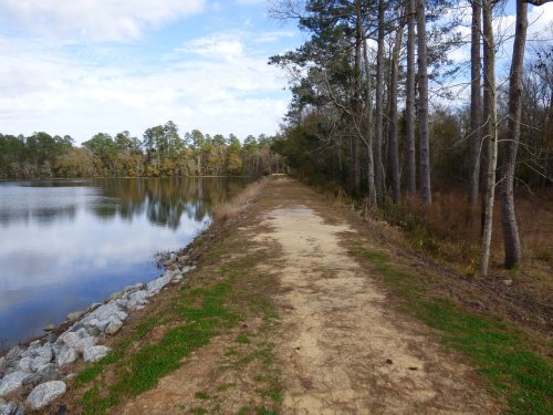 A serene dirt path alongside a calm lake, bordered by trees and rocky edges under a partly cloudy sky.