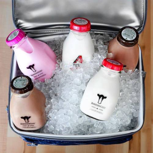 A cooler filled with ice and six glass bottles of flavored milk in various colors and labels.