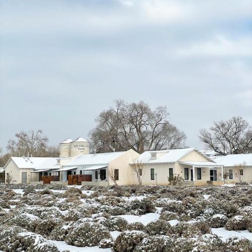 A snowy landscape featuring a white building with a water tower, surrounded by low shrubs and bare trees.