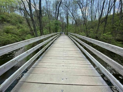A wooden bridge stretches through a lush green forest, with people walking in the distance under a clear blue sky.