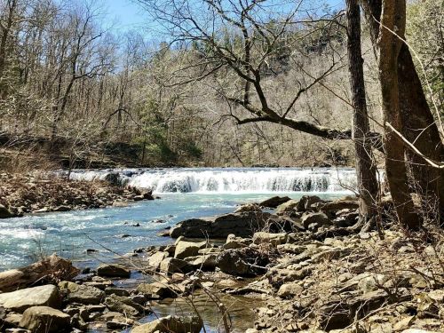 A serene river flows over rocks, surrounded by bare trees and a clear blue sky in a tranquil natural setting.