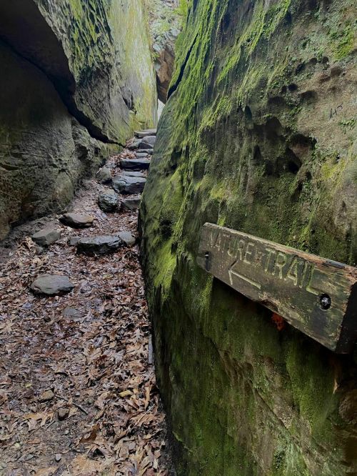 A narrow stone path leads through moss-covered rocks, with a wooden sign pointing to the nature trail.