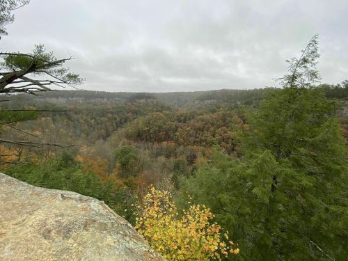 A scenic view of a forested valley with autumn foliage under a cloudy sky.