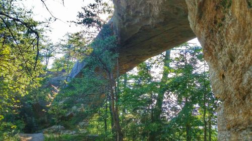 A natural stone bridge arching over a forested path, surrounded by trees and sunlight filtering through the leaves.