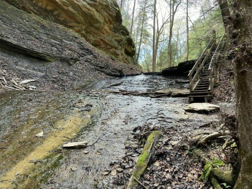 A rocky, forested landscape with a dry creek bed and wooden steps leading up the slope. Trees are visible in the background.