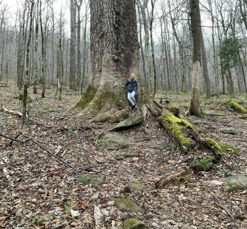 A person sits against a large tree in a forest, surrounded by bare trees and moss-covered rocks.