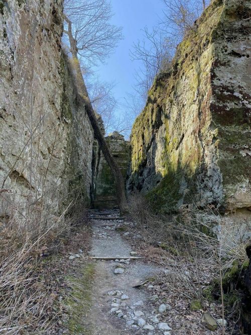Narrow rocky path between tall, moss-covered cliffs with a tree leaning over the trail under a clear blue sky.