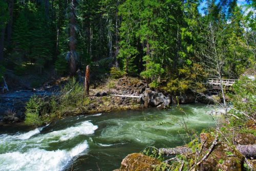 A rushing river flows through a lush forest, with rocks and greenery lining the banks and a wooden bridge in the background.