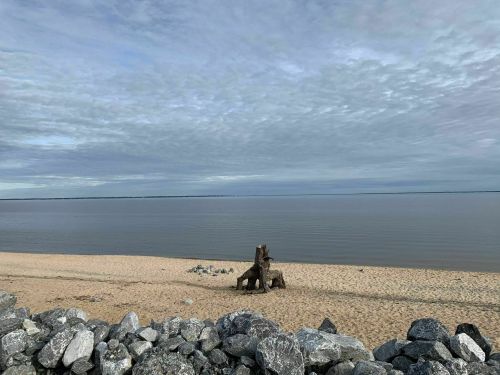 A calm beach scene with a sandy shore, a few rocks, and a tree stump near the water under a cloudy sky.