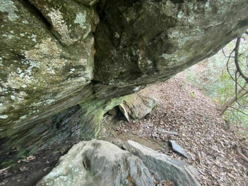 A rocky overhang in a wooded area, with leaves and small rocks scattered on the ground beneath it.