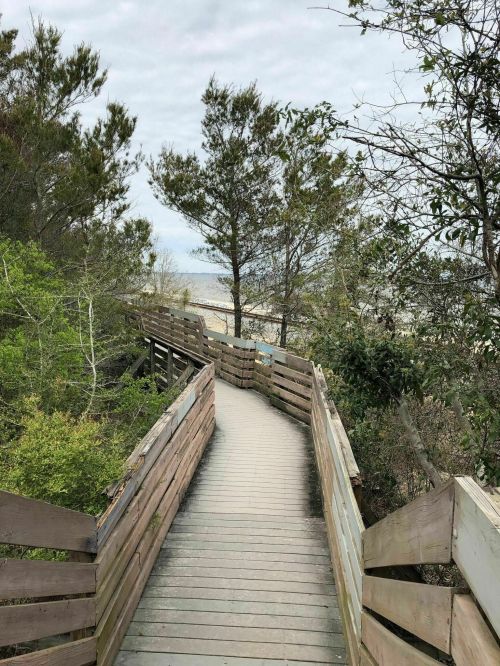 A wooden boardwalk leads through greenery towards a beach, with trees lining the path under a cloudy sky.