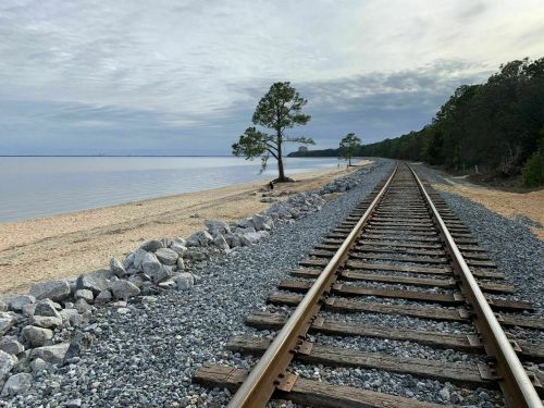 A view of a railway track alongside a beach, with a lone tree and calm water in the background under a cloudy sky.