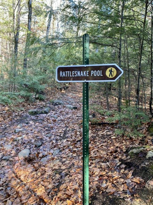 Signpost for Rattlesnake Pool along a wooded trail, surrounded by fallen leaves and trees.