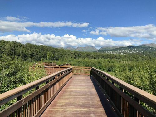 A wooden boardwalk leads through lush greenery, with mountains and a blue sky in the background.