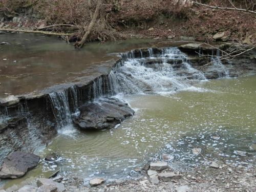 A small waterfall cascades over rocks into a calm, muddy stream surrounded by bare trees and earthy terrain.