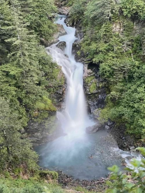 A serene waterfall cascades down rocky cliffs into a turquoise pool, surrounded by lush green trees and foliage.