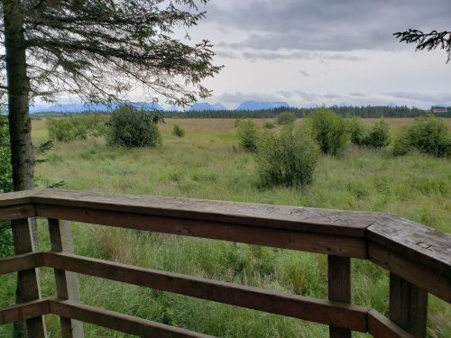 View from a wooden railing overlooking a grassy field and distant mountains under a cloudy sky.