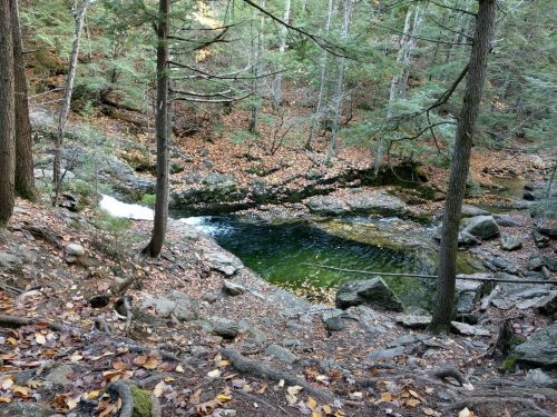 A serene forest scene with a clear stream flowing over rocks, surrounded by autumn leaves and trees.