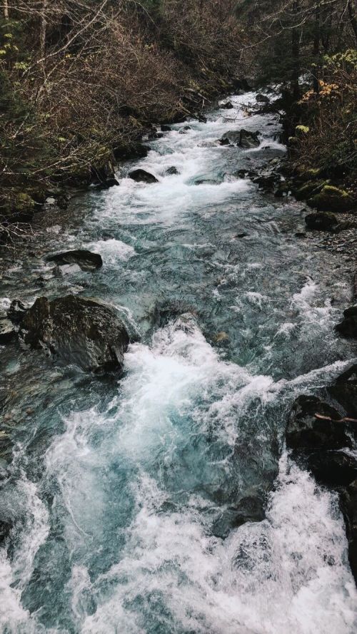 A clear, rushing stream flows over rocks, surrounded by lush greenery and trees in a serene natural setting.
