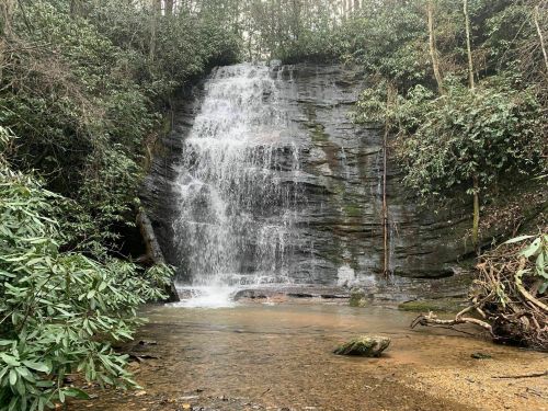 A serene waterfall cascading over rocky cliffs, surrounded by lush greenery and a calm pool at the base.