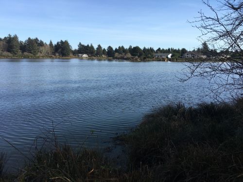 A calm lake surrounded by trees and a few houses in the distance under a clear blue sky.