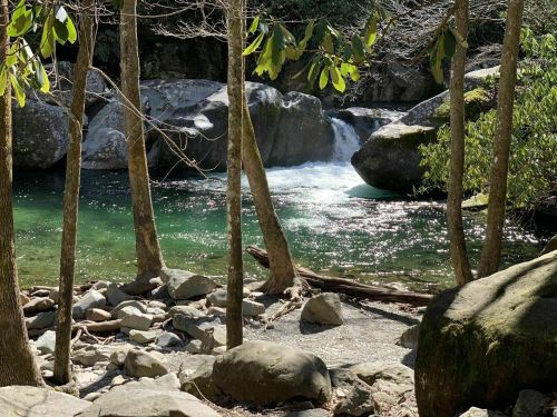 A serene river flows between large rocks, surrounded by trees and sunlight filtering through the leaves.