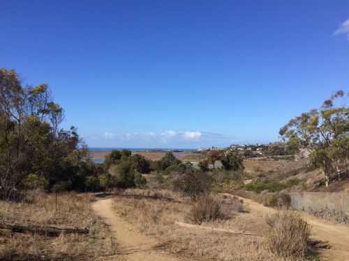 A scenic view of a dry landscape with a path, trees, and a distant coastline under a clear blue sky.