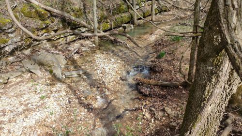 A serene stream flows through a wooded area, surrounded by rocks and trees, with moss-covered stones along the banks.