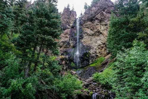 A tall waterfall cascades down rocky cliffs, surrounded by lush green trees and vegetation.