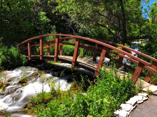 A wooden bridge arches over a flowing stream, surrounded by lush greenery and vibrant plants.