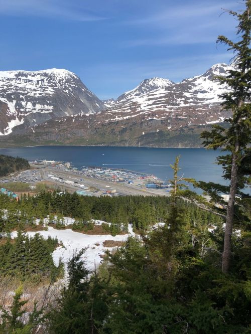 A scenic view of a snowy mountain landscape overlooking a bay and a small town nestled among trees.