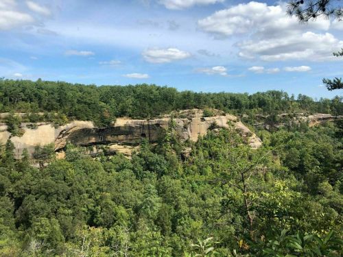 A scenic view of a rocky cliff surrounded by lush green trees under a partly cloudy sky.
