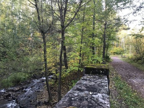 A serene path alongside a stream, surrounded by lush green trees and autumn foliage.