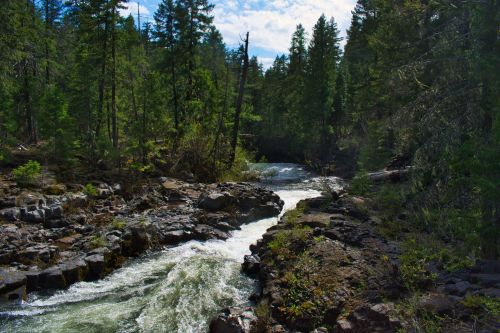 A flowing river surrounded by lush green trees and rocky banks under a bright blue sky.