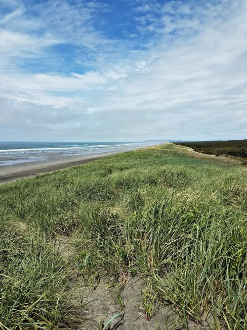A grassy dune overlooks a sandy beach and ocean under a partly cloudy sky.