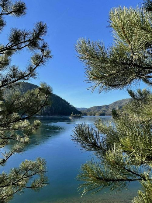 A serene lake surrounded by mountains, framed by pine branches under a clear blue sky.