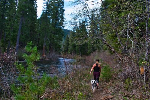 A person walks a dog along a forested trail beside a river, surrounded by tall trees and greenery.