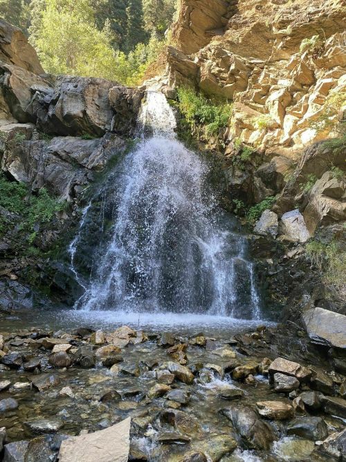 A cascading waterfall flows over rocky terrain, surrounded by lush greenery and rugged cliffs.